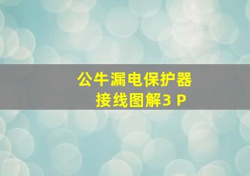 公牛漏电保护器接线图解3 P